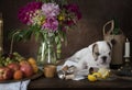 Still life with puppy dog in classical Dutch style