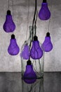 Still life with purple light bulbs and a glass jar Royalty Free Stock Photo