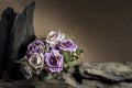 Still life with purple roses and timber