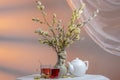 Still life with willow, two glass cups of tea and porcelain kettle