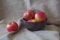 Still life of red apples Royalty Free Stock Photo