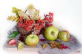 Still life with red berries in a basket and natural apples