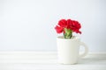 Still life with red Carnation flower