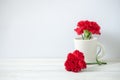 Still life with red Carnation flower Royalty Free Stock Photo