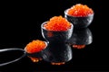 Still life of red caviar on black background Royalty Free Stock Photo