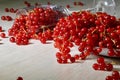 Fresh red currant berries pouring out of glassware on the table