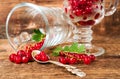 Still life with red currants in glass Royalty Free Stock Photo