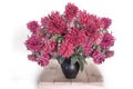 Still life with red dahlias in a vase on the table Royalty Free Stock Photo