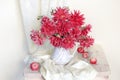 Still life with red dahlias in a vase on a white background Royalty Free Stock Photo