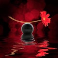 Still life of a red daisy with reflections on black background Royalty Free Stock Photo