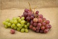 Still life with red and green ripe grapes