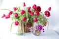 Spring Beautiful, flowers in the basket Royalty Free Stock Photo