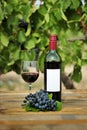 Still life of a red wine bottle, glass and grape strain Royalty Free Stock Photo