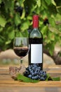 Still life of a red wine bottle, glass and grape strain Royalty Free Stock Photo