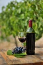 Still life of a red wine bottle, glass and grape strain Royalty Free Stock Photo