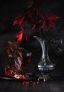 Still life with red wine in a jug Royalty Free Stock Photo