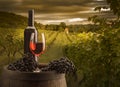 Still life with red wine and wood barrel on vineyard