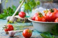 Still life with ripe tomatoes and garlic Royalty Free Stock Photo