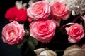 Still life of rose bouquet flower. Beautiful fresh pink roses. Rose Posy Wedding Bouquet. heap of pink and white fresh roses.