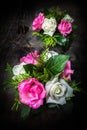 Still life roses Royalty Free Stock Photo