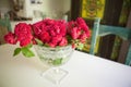 Still Life With Roses Royalty Free Stock Photo