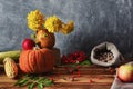 Still life in a rustic style. Fresh vegetables: pumpkin, apples, corn and hazelnuts in a bag Royalty Free Stock Photo