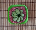 still life, sausage, cucumbers, in a green square plate, on a striped brown background, original picture