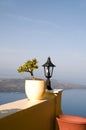 Still life scene with flower pot santorini Royalty Free Stock Photo