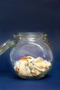 Still life, sea shells in a glass jar Royalty Free Stock Photo