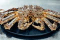 Still life of seafood with crab and shrimp Royalty Free Stock Photo