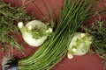 Still life of seasoning herbs. Royalty Free Stock Photo