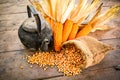 Still life of seed corn,old kettle and dried corn Royalty Free Stock Photo