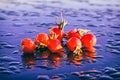 Still life with several bright wild rose hips lying on a wet reflective surface