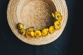 Bouquet of yellow waterlily flower with green leaf. freshly ripped up. In a straw hat. close up on black background of fabric. Royalty Free Stock Photo