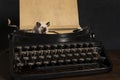 Still life with siamese mice on a typewriter and phone making contact and communicating