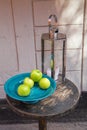 Still Life of Silver Lantern and Green Apples