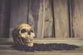 Still life skull and bean coffee on wooden background. Royalty Free Stock Photo
