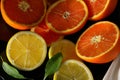 Still life with oranges and lemons Royalty Free Stock Photo