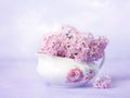 Still life with small branch of lilac in old porcelain gravy boat on light violet background