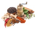 Still life with spices and herbs on white Royalty Free Stock Photo