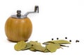 Still life of spices. Wooden Barrels for grinding peas and salt. Royalty Free Stock Photo