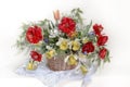 Flowers of Tulips and daffodils in a basket . Royalty Free Stock Photo