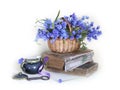 Still life with spring flowers snowdrops and old books on a white background Royalty Free Stock Photo