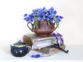 Still life with spring flowers snowdrops and old books on a white background Royalty Free Stock Photo