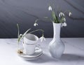 still life with spring white snowdrops and a porcelain cups