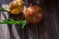 Still life of sprouted onions on a wooden table