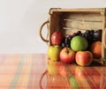 Autumn still life photo with fruit and copy space