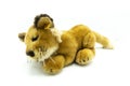 Still life of stuffed lion Royalty Free Stock Photo