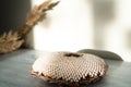 Still life of sunflower flower head with white dry seeds on light wooden surface on light wall background with shadow and sunshine Royalty Free Stock Photo