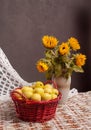 Still life of sunflowers and apples Royalty Free Stock Photo